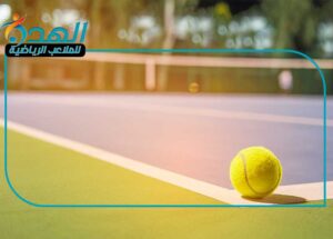 ملاعب-الالكليرك1